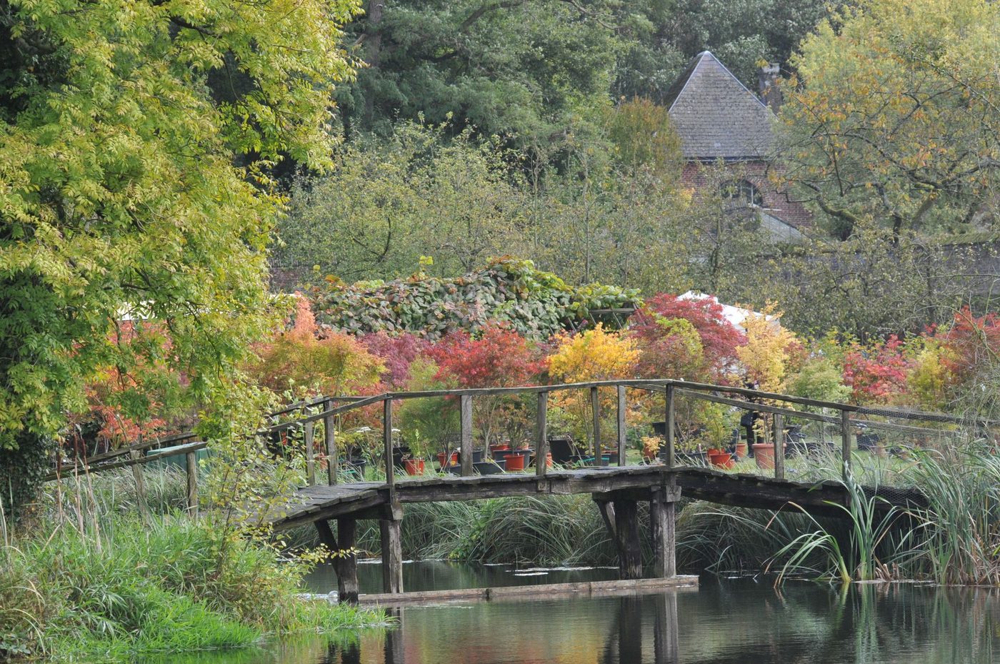 Fête des Plantes et du Jardin d'Aywiers (printemps)
