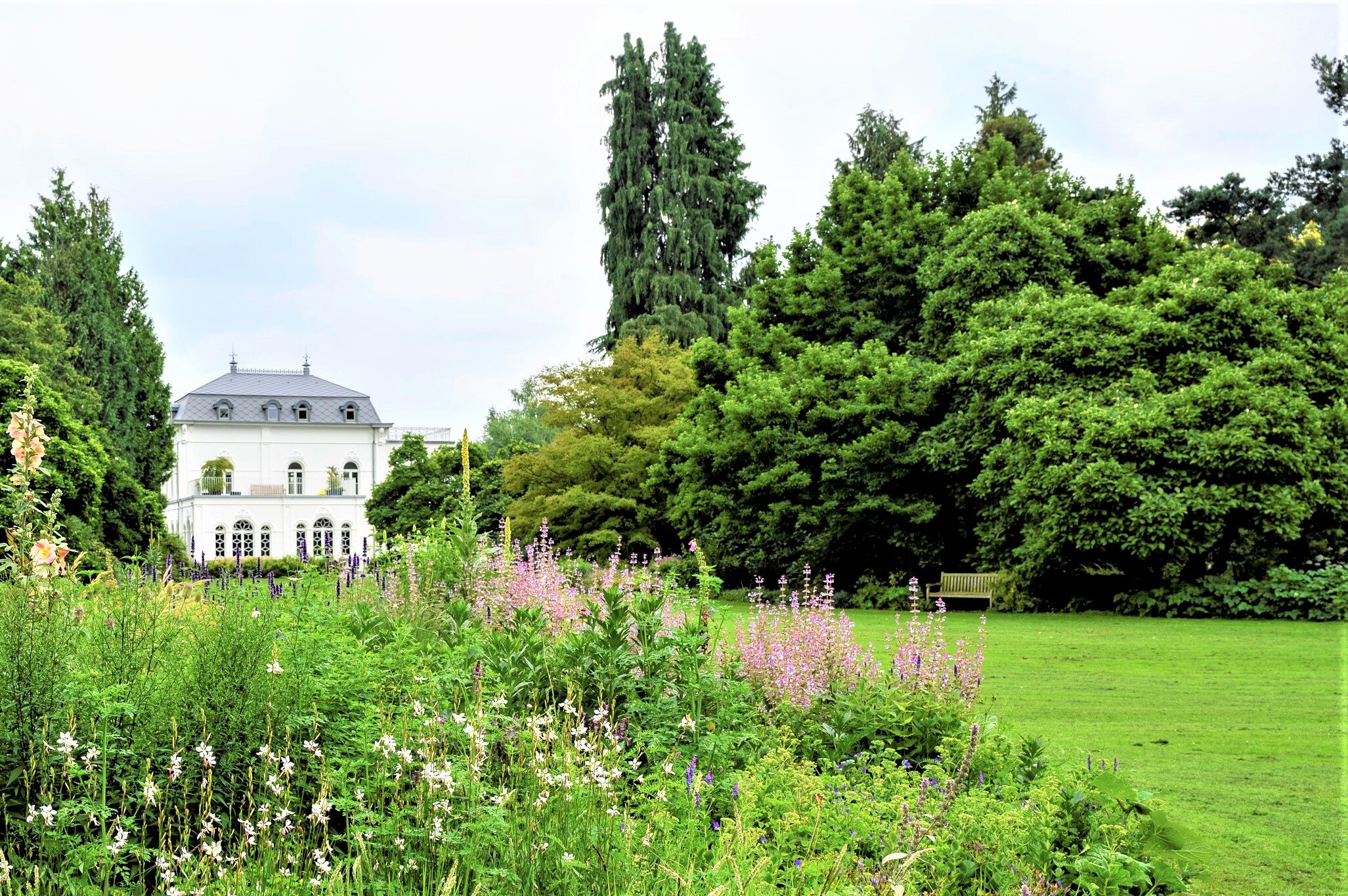 Plantendag Arboretum Kalmthout (printemps)